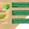 Just Kratom Green Maeng Da Kratom Powder Info