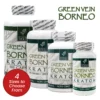 Whole Herbs Green Vein Borneo Kratom Capsules